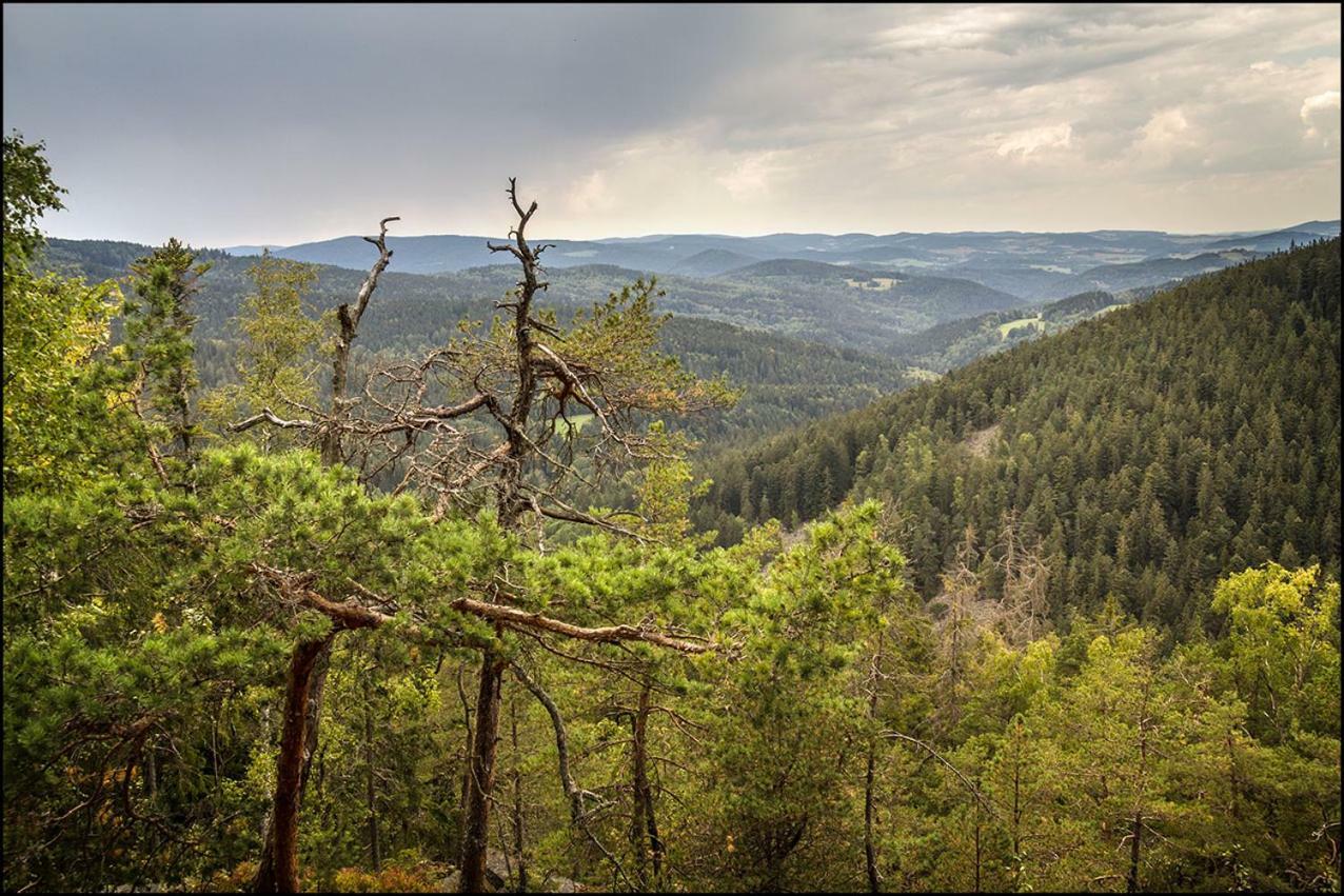 Na Losenici Nicov  Exterior foto