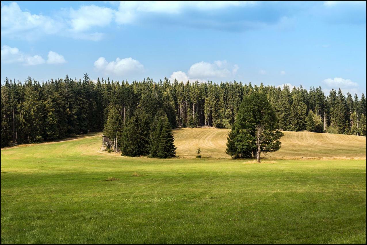 Na Losenici Nicov  Exterior foto