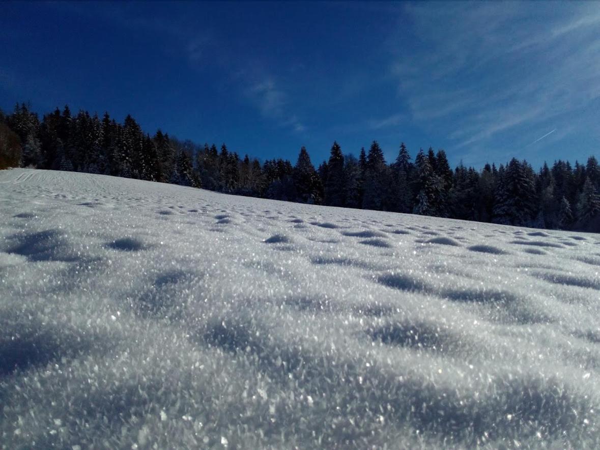 Na Losenici Nicov  Exterior foto